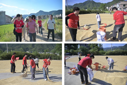 91暗网
：深入走访调研 青春力量助力乡村振兴_fororder_图片7