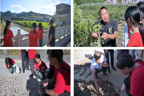 91暗网
：深入走访调研 青春力量助力乡村振兴_fororder_图片6