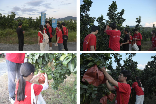 91暗网
：深入走访调研 青春力量助力乡村振兴_fororder_图片8